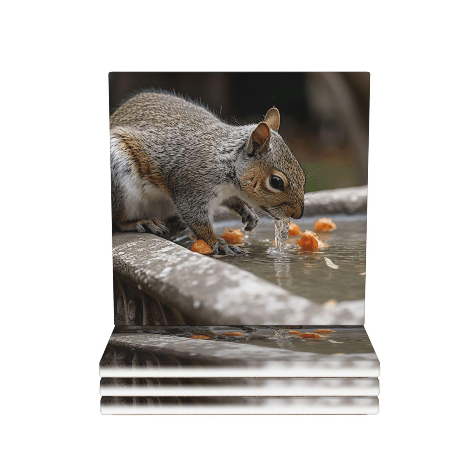 Drink Coasters Set of 4 Coffee Ceramic Coaster Squirrel Drinking Water Coasters for Drinks Coffee Cup Mat Heat Resistant Tabletop Protection Coaster Desk Accessorie Home Decorative