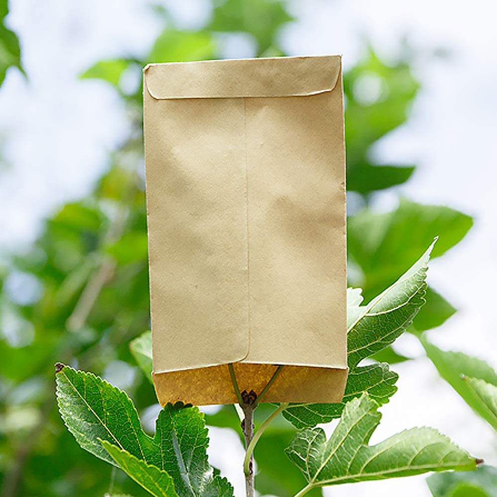 100 Sacchetti Carta Kraft 13x8 Cm - Per Confetti, Semi, Bomboniere, Matrimoni E Battesimi - Foto 9