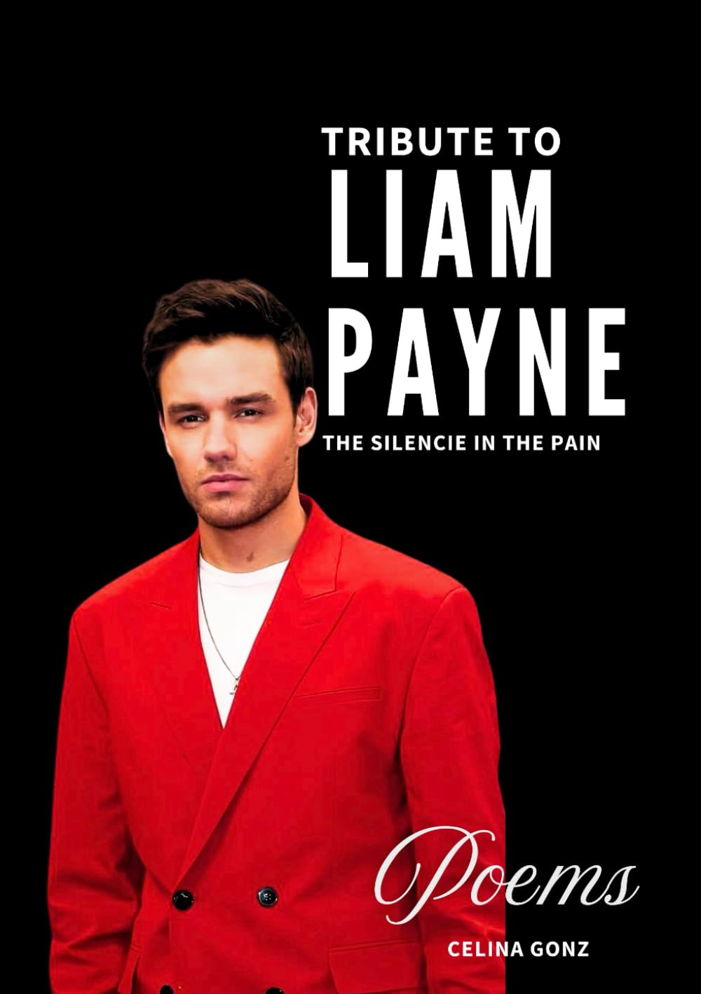 Tribute to Liam Payne: The silencie in the pain