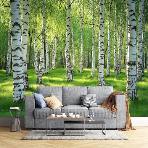 Papier peint panoramique 3D effet forêt verte de bouleau format XXL