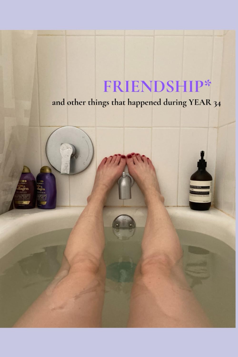 FRIENDSHIP*: And Other Things That Happened During YEAR 34 (Year Poems)
