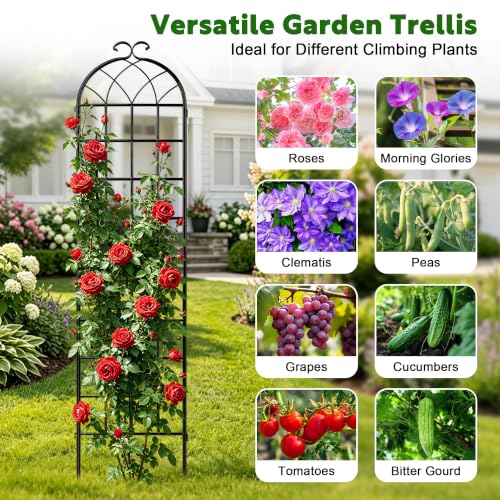 Image of 82.7 x 40in Rustic Iron Arch Decoration Garden Trellis with Black Metal Coating - Perfect for Supporting Climbing Plants Outdoor, Roses, Vines, Flowers, and Vegetables.