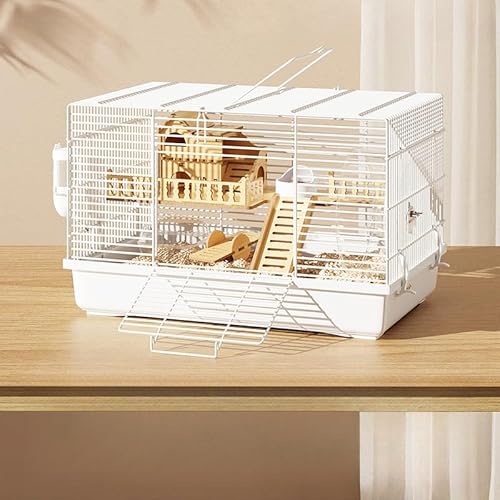 Emidor nX^[P[W P[W  ^ P[W ʋC 킢 gCfUC LXƂ v  |₷ w gݗĊȒP nX^[nEX Eɂ nX^[pZbg S[fxA (zCg,m9_Zbg