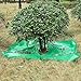 Landscape Tarp for Trimming, Bush Trimming Catcher with 12 Inches Hole, Garden Leaf Collector, Tree Pruning Cloth with Four Corner Buckles, Reusable Waterproof Landscape Cleanup Tool