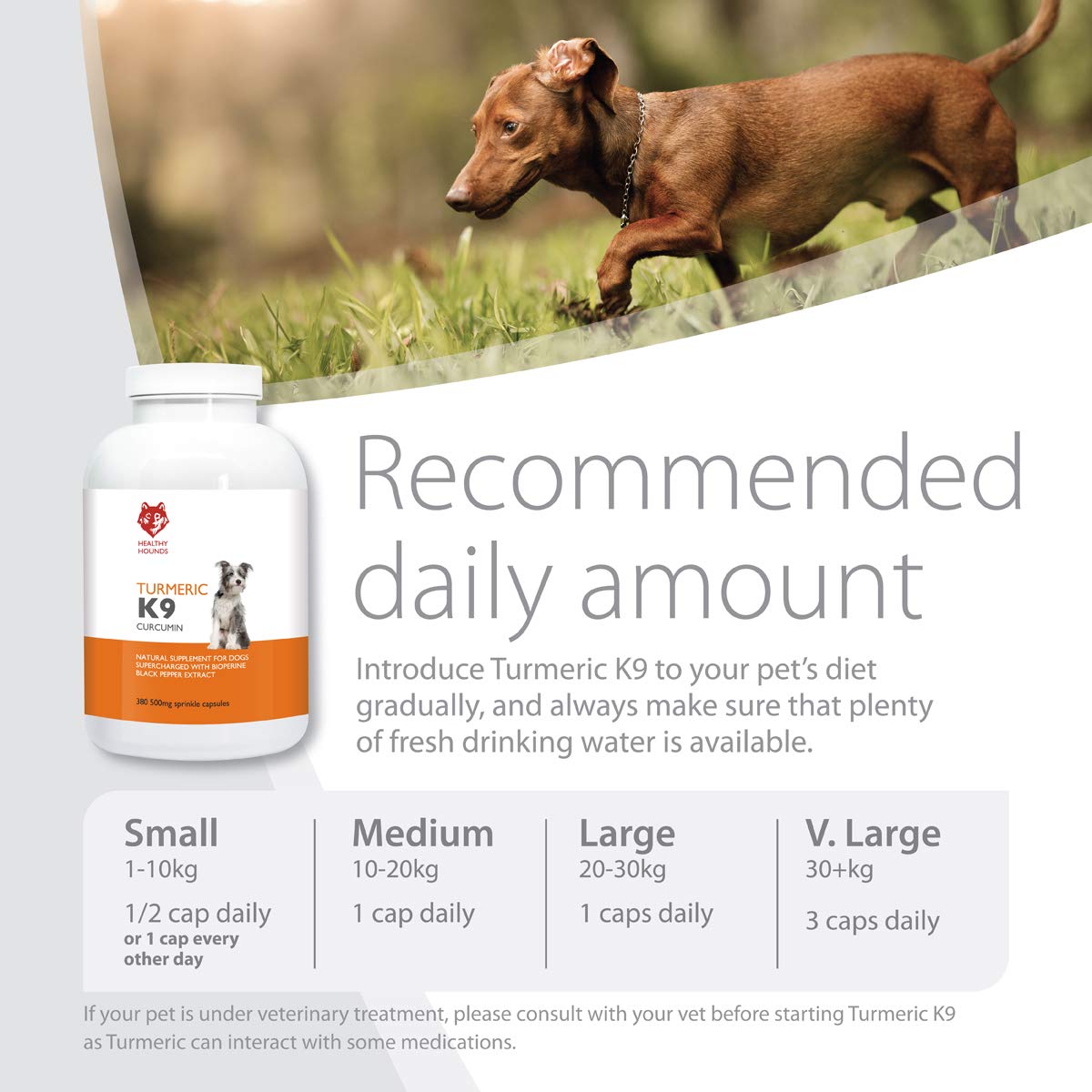 Buy Healthy Hounds K9 Turmeric for Dogs and Pets 380 x 500mg Sprinkle