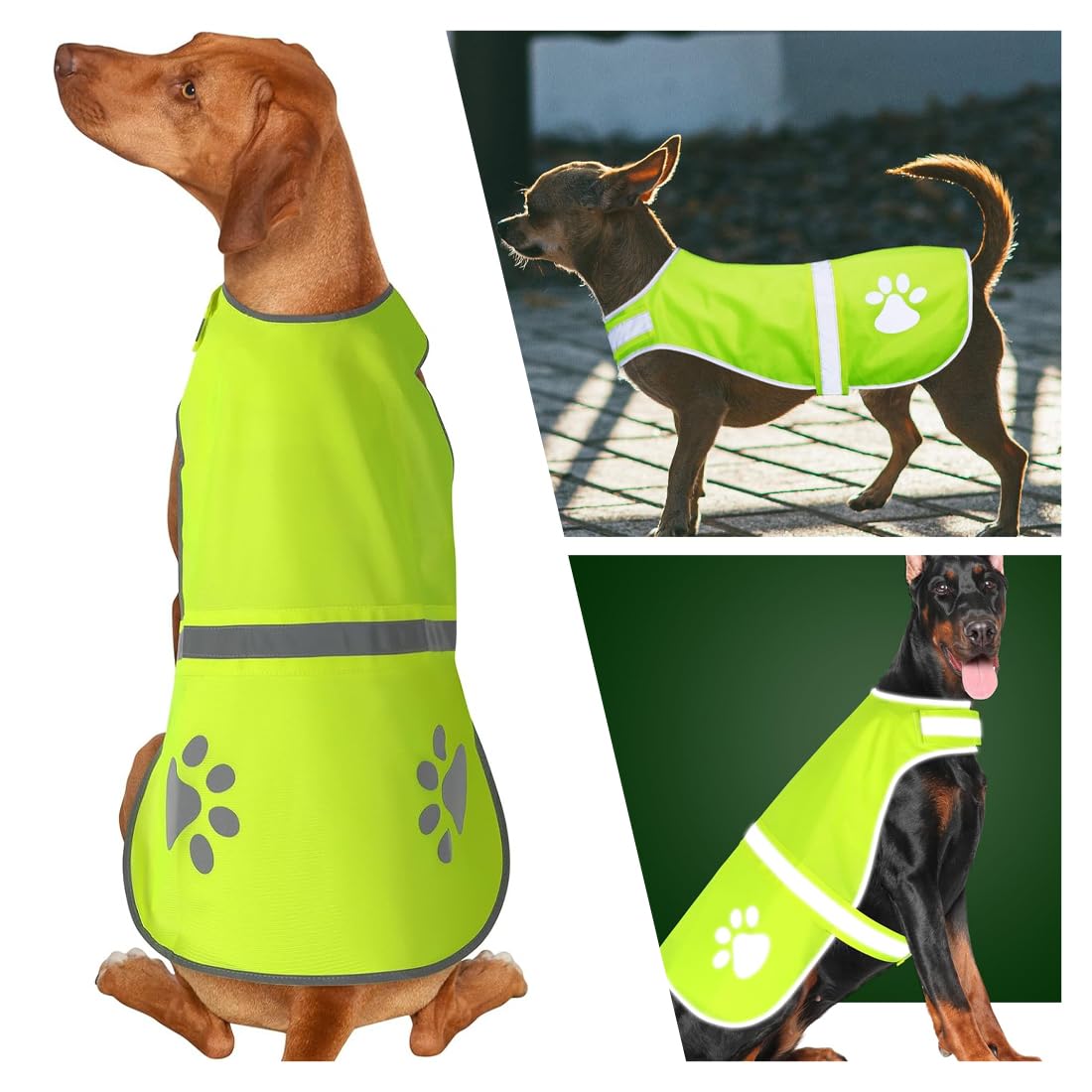 Giubbotti di sicurezza per cani Giubbotto di sicurezza riflettente per cani, alta visibilità notturna, impermeabile, leggero, comodo (taglia M)