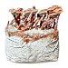 Grow Your Own Mushrooms Kit - Colonized Reishi Mushrooms - up to 4 lbs
