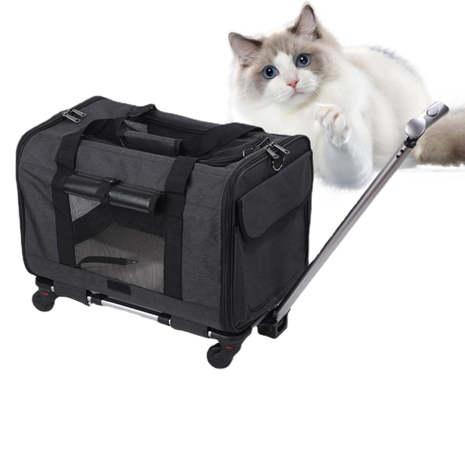 Transportín para Gatos Grande | Transportín para Perros y Gatos pequeños | con Ruedas - de Viaje para Perros pequeños, transportín Suave y Deslizante para Gatos Que Viven en casa,