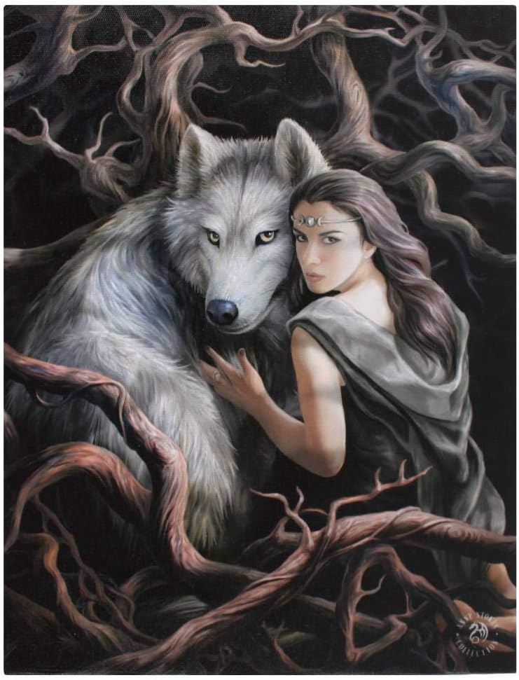 Realm Of Enchantment - Quadro Su Tela Di Anne Stokes - Stampa Fantasy Con Telaio In Legno, Placca Da Parete