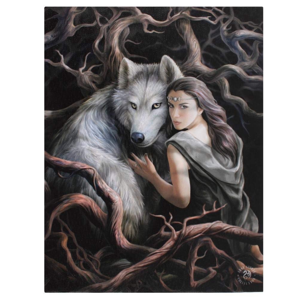 Canvas Plaque | Soul Bond by Anne Stokes | H25cm X W19cm X D1.5cm | Pack of 1