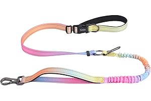Hands Free Dog Leash for Small Medium Large Dogs, Adjustable Hands-Free Walking Leash