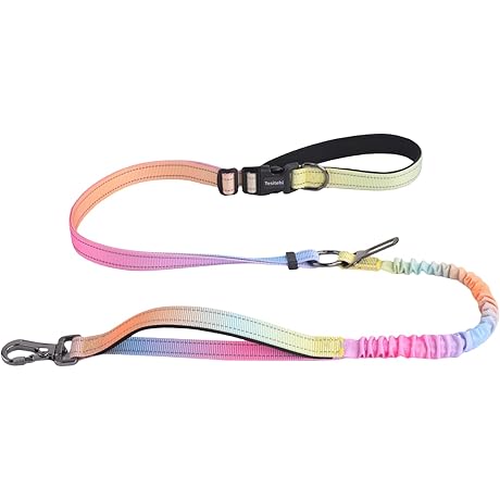 Hands Free Dog Leash for Small Medium Large Dogs, Adjustable Hands-Free Walking Leash