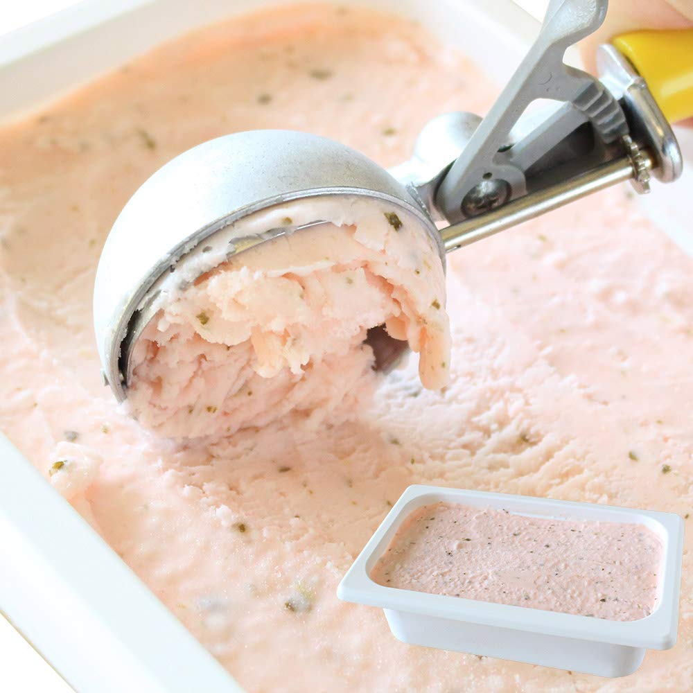 北国からの贈り物 アイスクリーム 業務用 桜もち 北海道 くりーむ童話 手づくり アイス