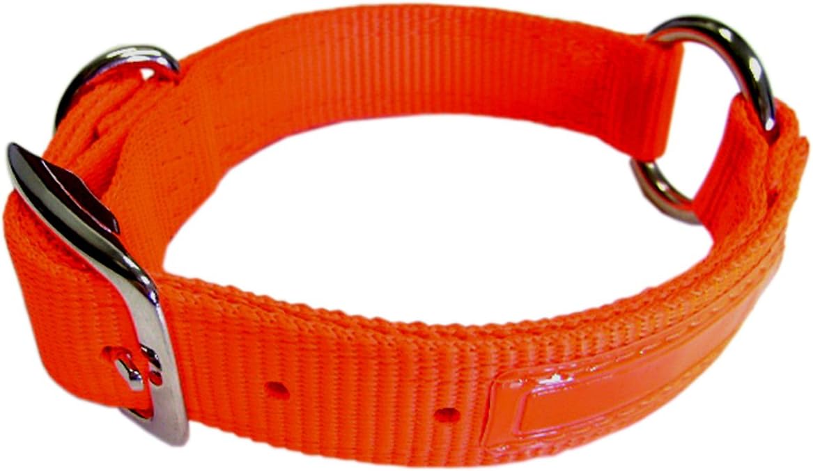 Hamilton 1Inch Double Thick Safe Rite Dog Collar with