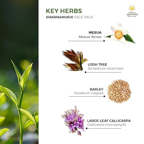 Miniatura 7 de Kerala Ayurveda Swarnamukhi Face Pack con Lotus y Azafrán - Limpia y Exfolia suavemente la piel muerta para toda la piel sensible y grasa, 1.7 Oz