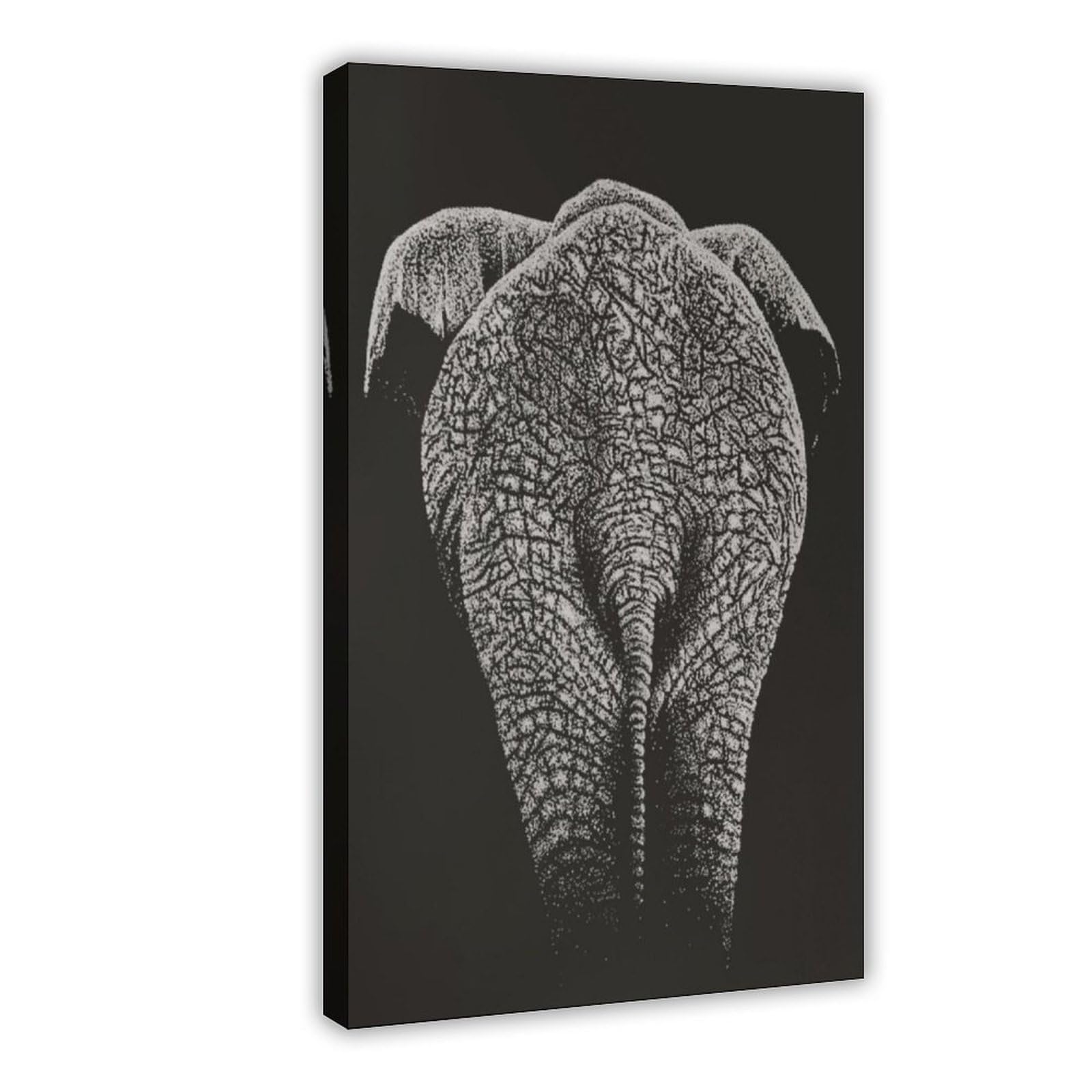 Bareronor Abstract Elephant Poster Canvas Poster Bedroom Decor Landscape Office Room Decor Gift 20" L X 30" W