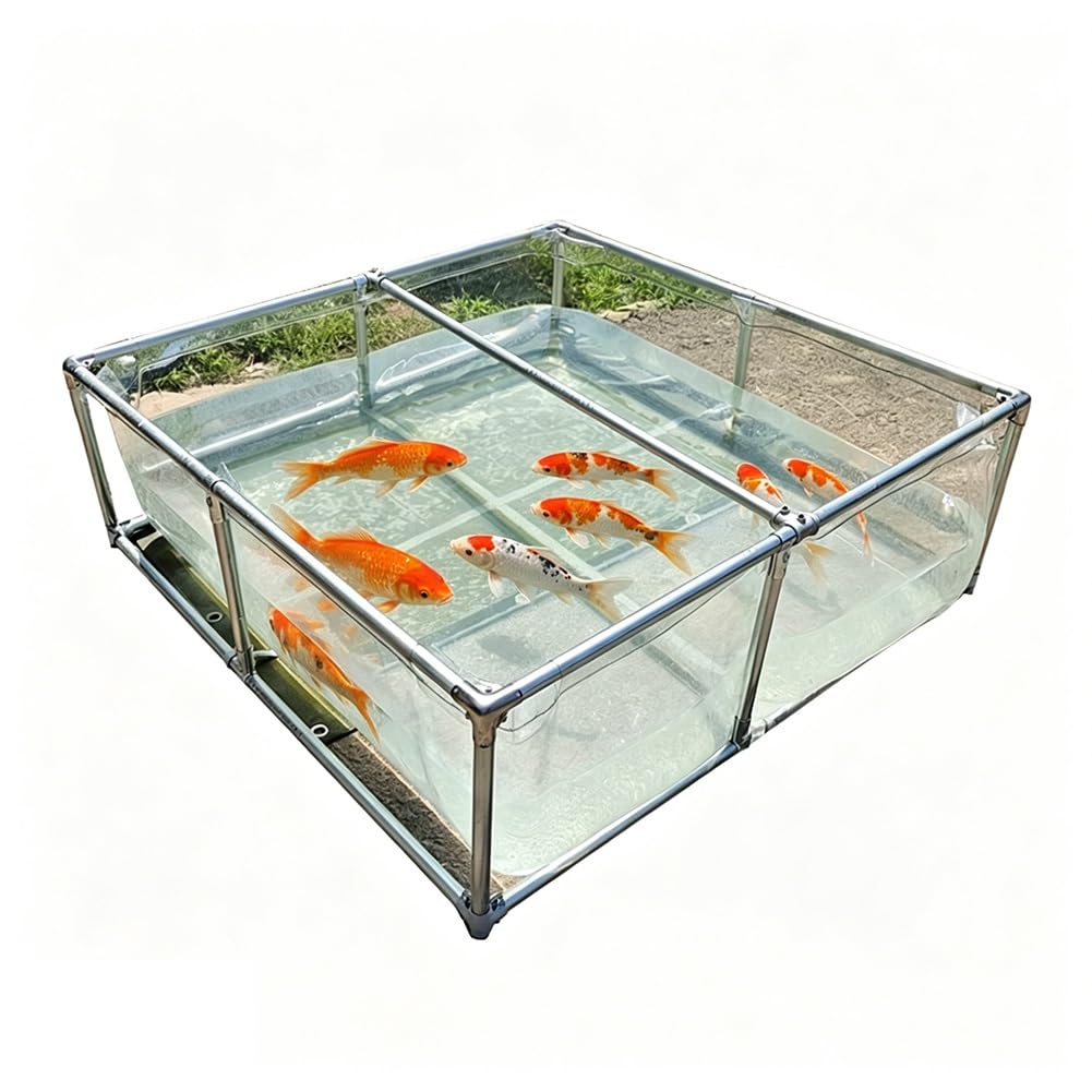Bassin à poissons transparent hors-sol pour éviter de creuser le jardin