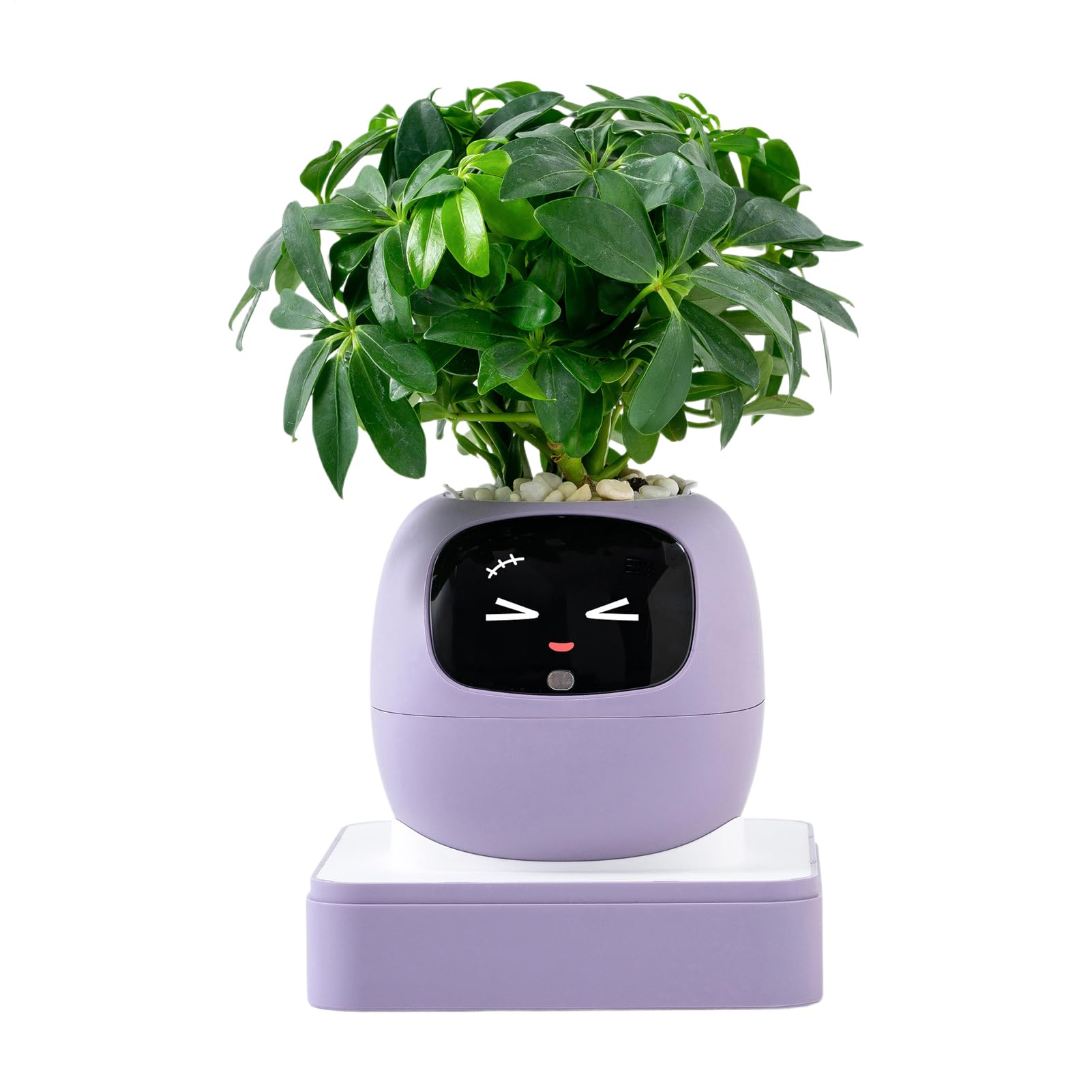 Pot intelligent avec guide d'IA pour l'entretien des et des animaux