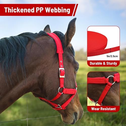 Kabahorze Adjustable Horse Halter with Polar Fleece Lined, Rope Halters, Equestrian Horse Riding Headcollar with Satin Hardware, Prevents Rubs, Adjustable Fit,Great for Trailering & Shows