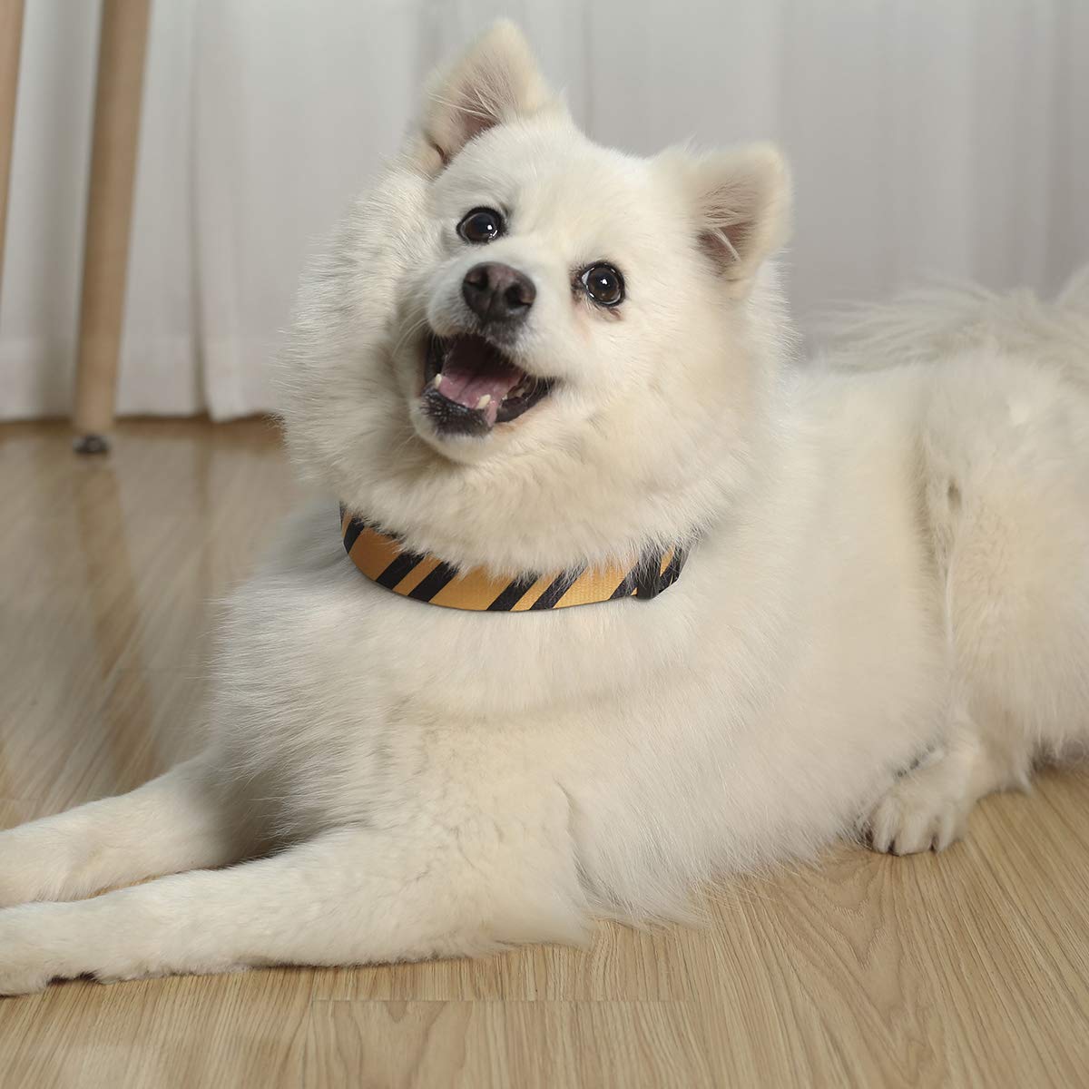 Coomour 2PCS Halloween Dog Collar Pet Cat Puppy Wizard School Printing Adjustable Collars with Funny Leash for Pets Dogs Cats Small Medium Large (Yellow,Large)