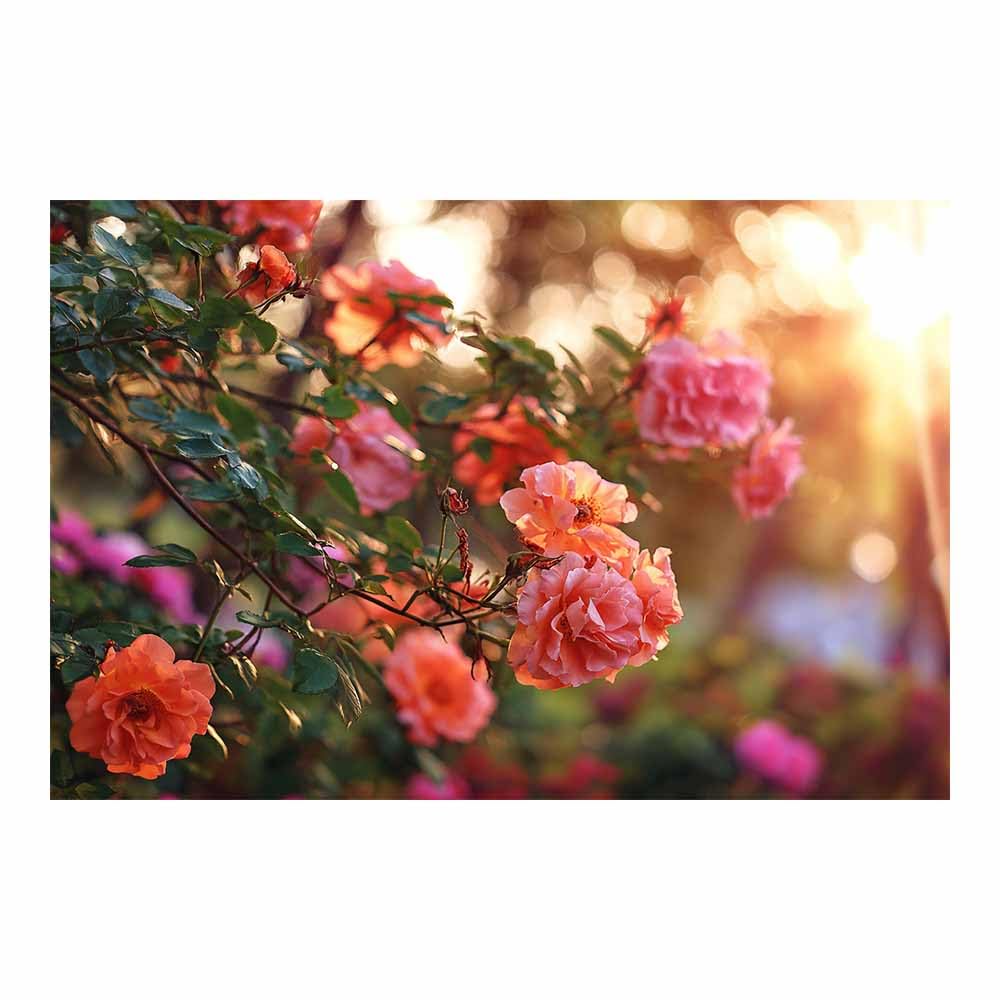 ZAMAEIU Landscape Canvas Painting Rosess branches Wall Decor, Modern Artwork, For Bedroom Living Room Bathroom Home Office Room Decorations(pink)-50x70cm Unframed