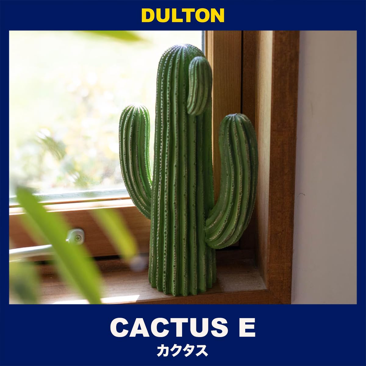 Amazon.co.jp: ダルトン(Dulton) オブジェ カクタス 高さ275×幅160mm 
