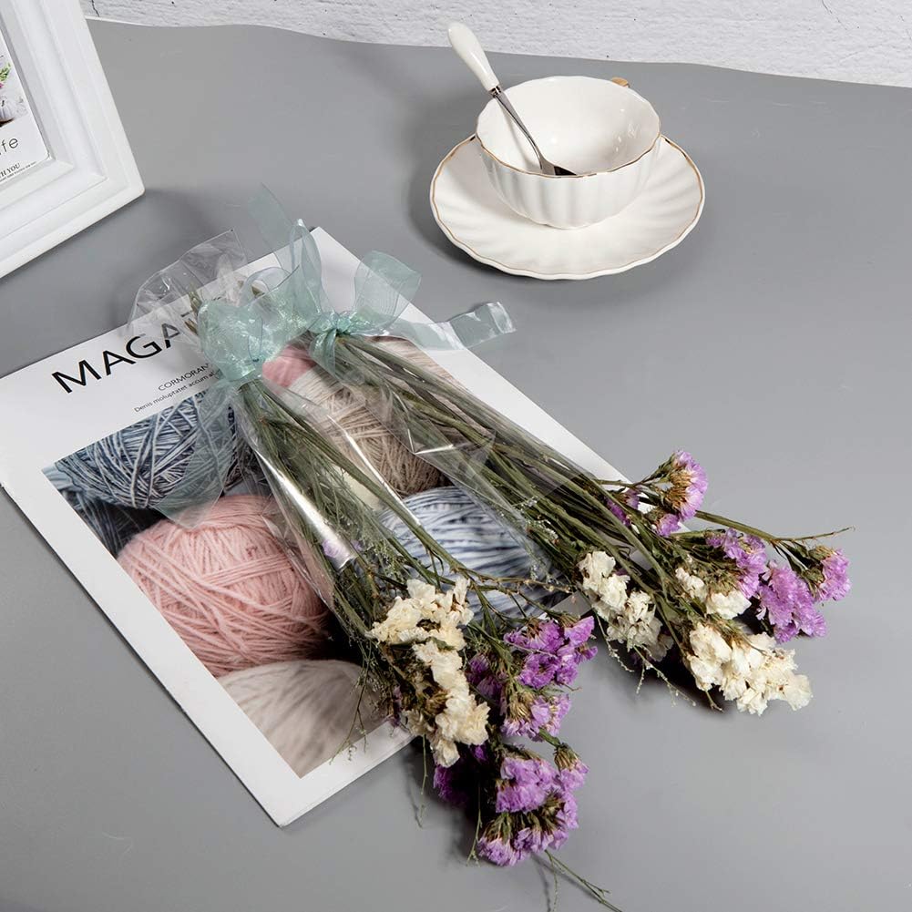 PH PandaHall 3x9“ Cellophane Bags, 200pcs Clear Top Open Long Flat Plastic Candy Gift Treat Bags for Jewelry Goodies Small Homemade Arts Party Favor Bags Christmas : Everything Else