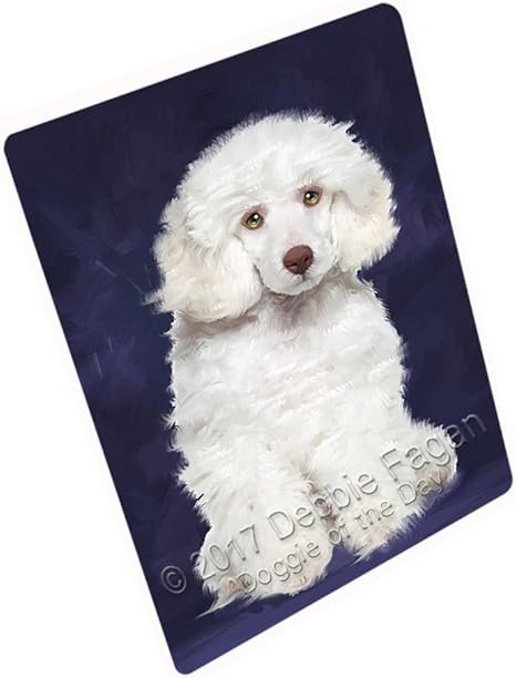 Poodle blanket Clearance