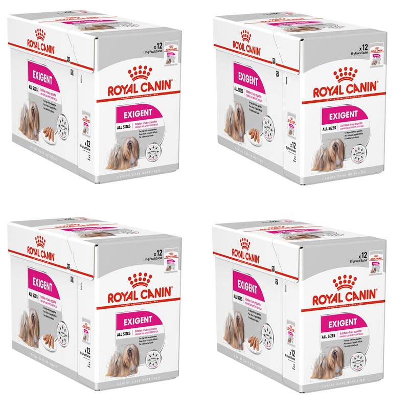 ROYAL CANIN Exigent | 4er Pack | 4 x 12 x 85 g | Nassfutter für ausgewachsene Hunde ab dem 10. Lebensmonat | Für wählerische Hunde | Mit hochwertigen Proteinen