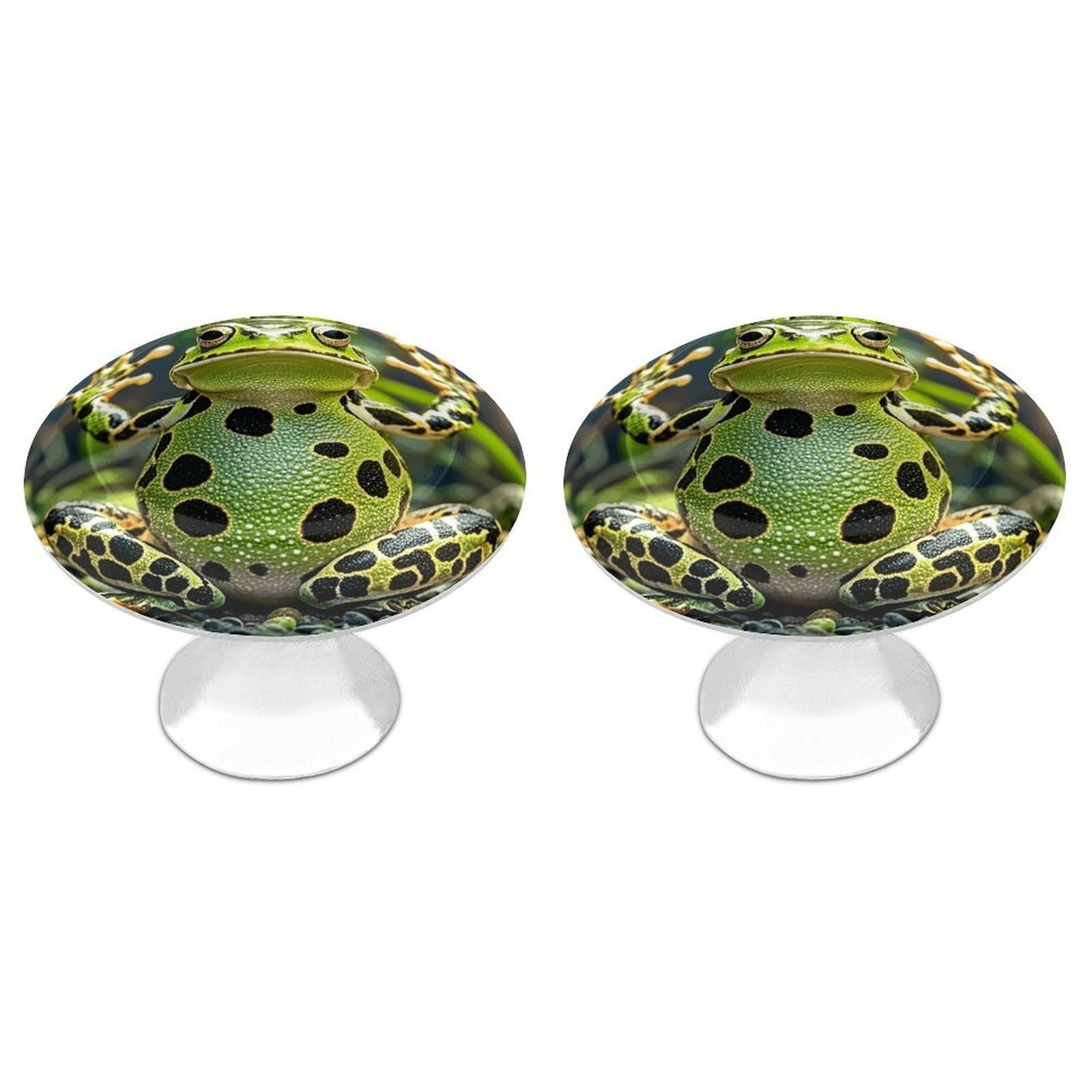 FekiLoot Crown Frog Cabinet Knob 2 Pack Mini Round Drawer Pulls Stainless Steel Dresser Drawer Knobs Kitchen Drawer Hardware for Bathroom Dresser Closet Door Knobs