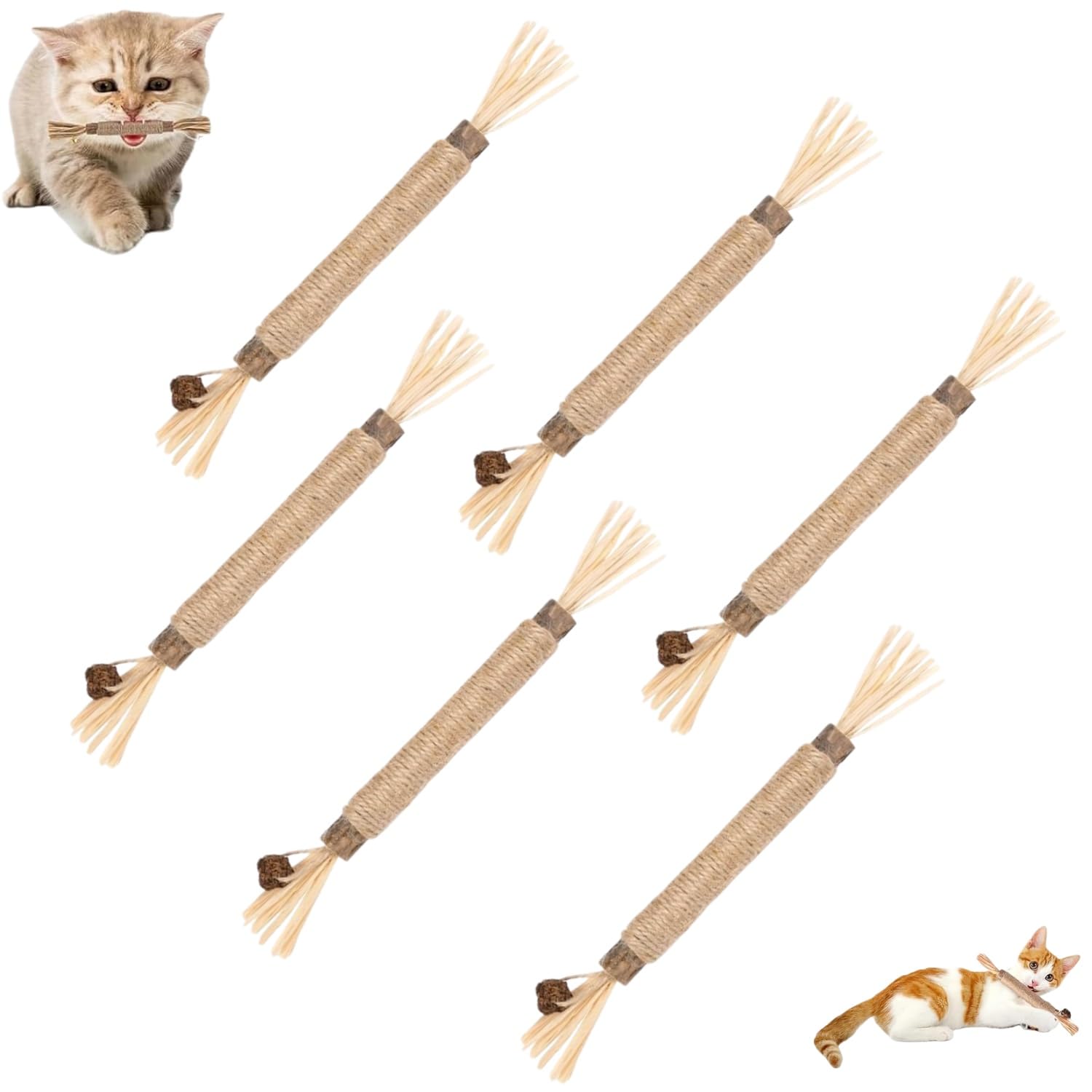 Zpeiran Cat Silvervine Sticks,6 PCS Natural Dental Catnip Sticks for Kitte for Indoor Cats Teeth Cleaning,Dental Catnip Sticks for Kitte