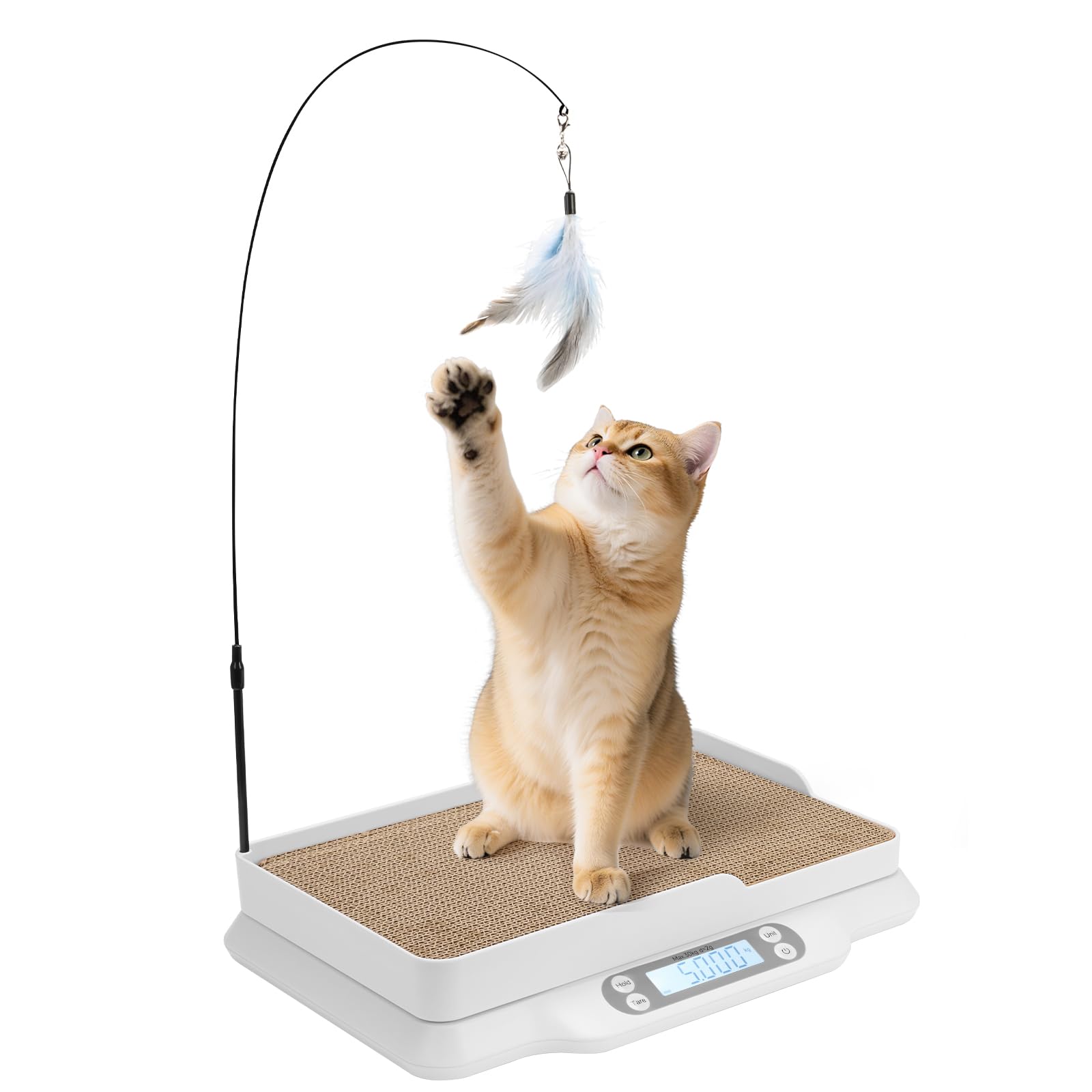 【美品】ペット用ヘルスケア機器 デジタルディスプレイ付き Amazon.co.jp: 【nagasawa moko】猫体重計 猫用デジタルスケール 猫