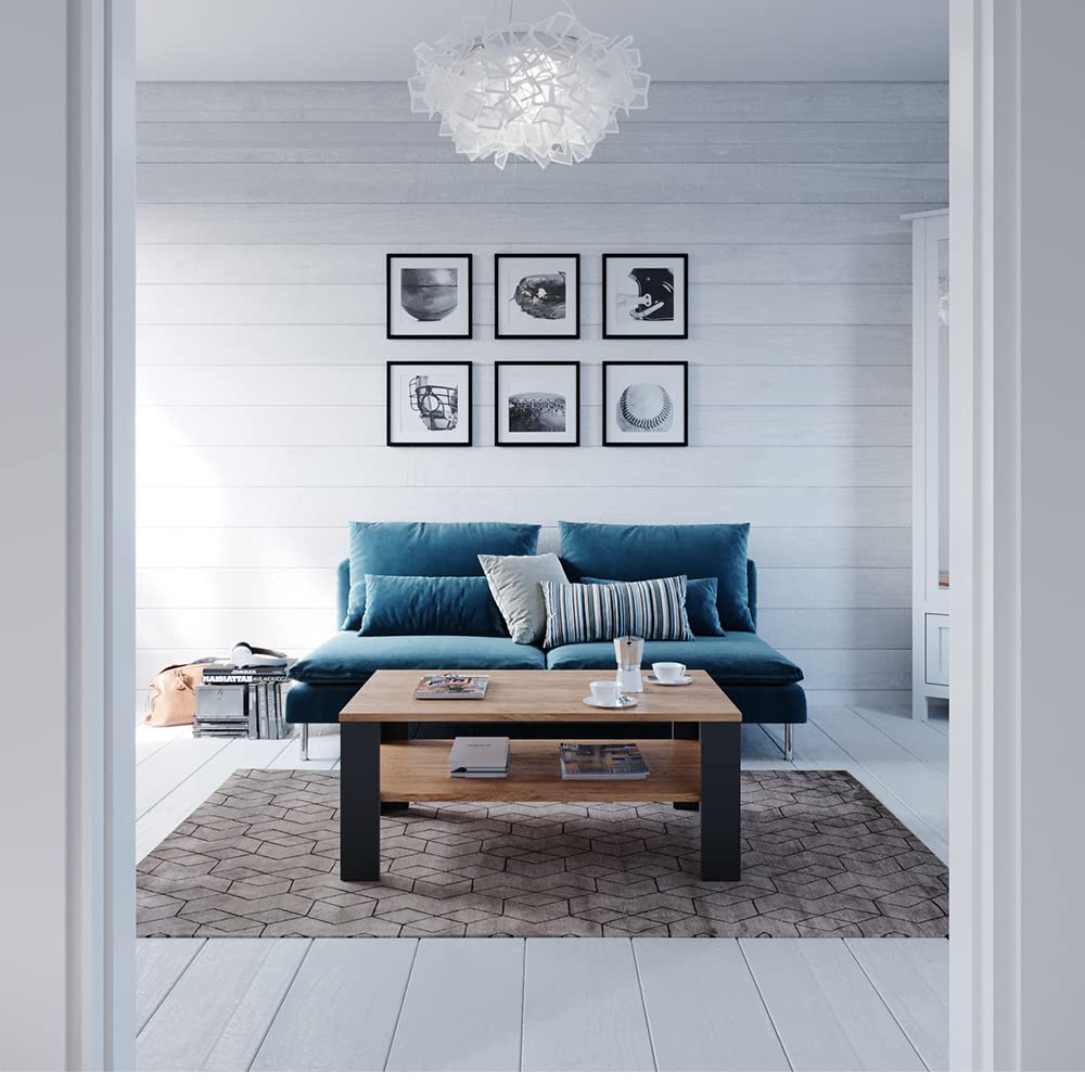 Vicco Couchtisch, Anthrazit, 100 x 60 cm | mit offenem Ablagefach zur Aufbewahrung von Zeitschriften