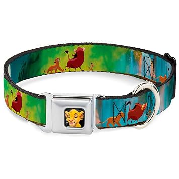 Buckle-Down DC-WDY027-M DYAC Simba2 Close Dog Collar, Medium/11-17