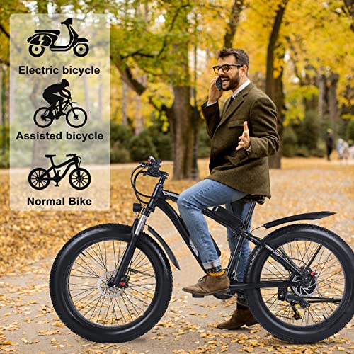 Image of Electric Bikes 1000W Off-Road Fat Tire E-Bike,with Removable Lithium Ion Battery,3.5 inch LCD Display and Rear Seat (Black)