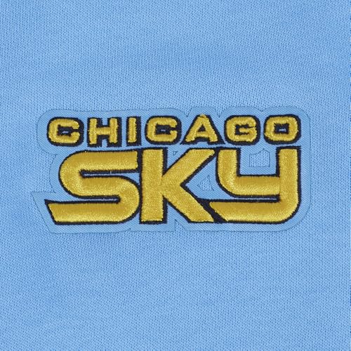 Image of Pro Standard Mens WNBA Classic Chenille Pull Over Hoodie