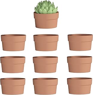 Fcacti 4.4 Inch Terracotta Shallow Succulent Pot - 10 Pack Small Terra Cotta Clay Pots with Drainage, Cacuts Terra-Cotta Indoor and Outdoor Planters with Drainage Hole