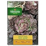 Semillas de LECHUGA ROSA TRIENTO, Ref: 945, 5 gr