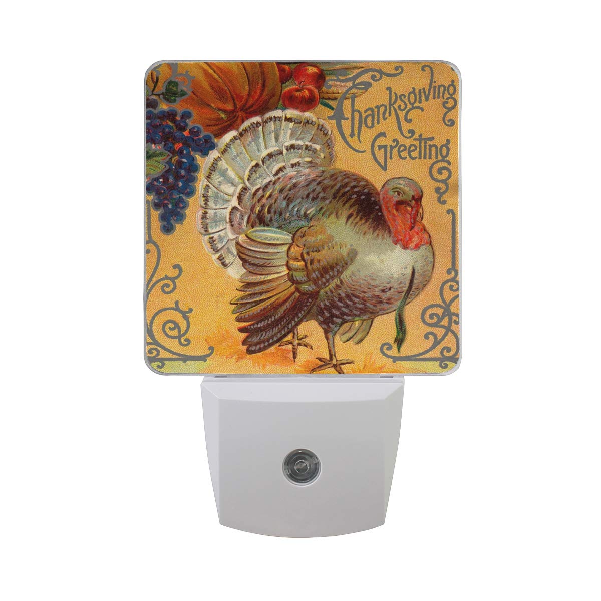 Naanle Set of 2 Thanksgiving Greeting Ornate Vintage Tom Turkey Pumpkin Fruit Grape Autumn Harvest Auto Sensor LED Dusk to Dawn Night Light Plug in Indoor for Adults