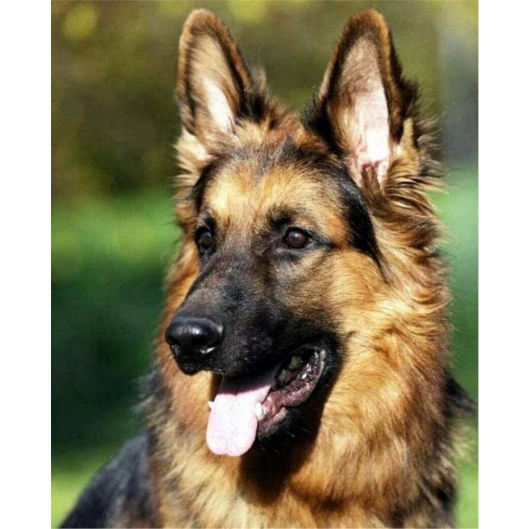 Nprzm H413 Diamond Painting Kits For Adults German Shepherd 5D Kit Full Drill Embroidery Painting Arts Crafts 50X60cm