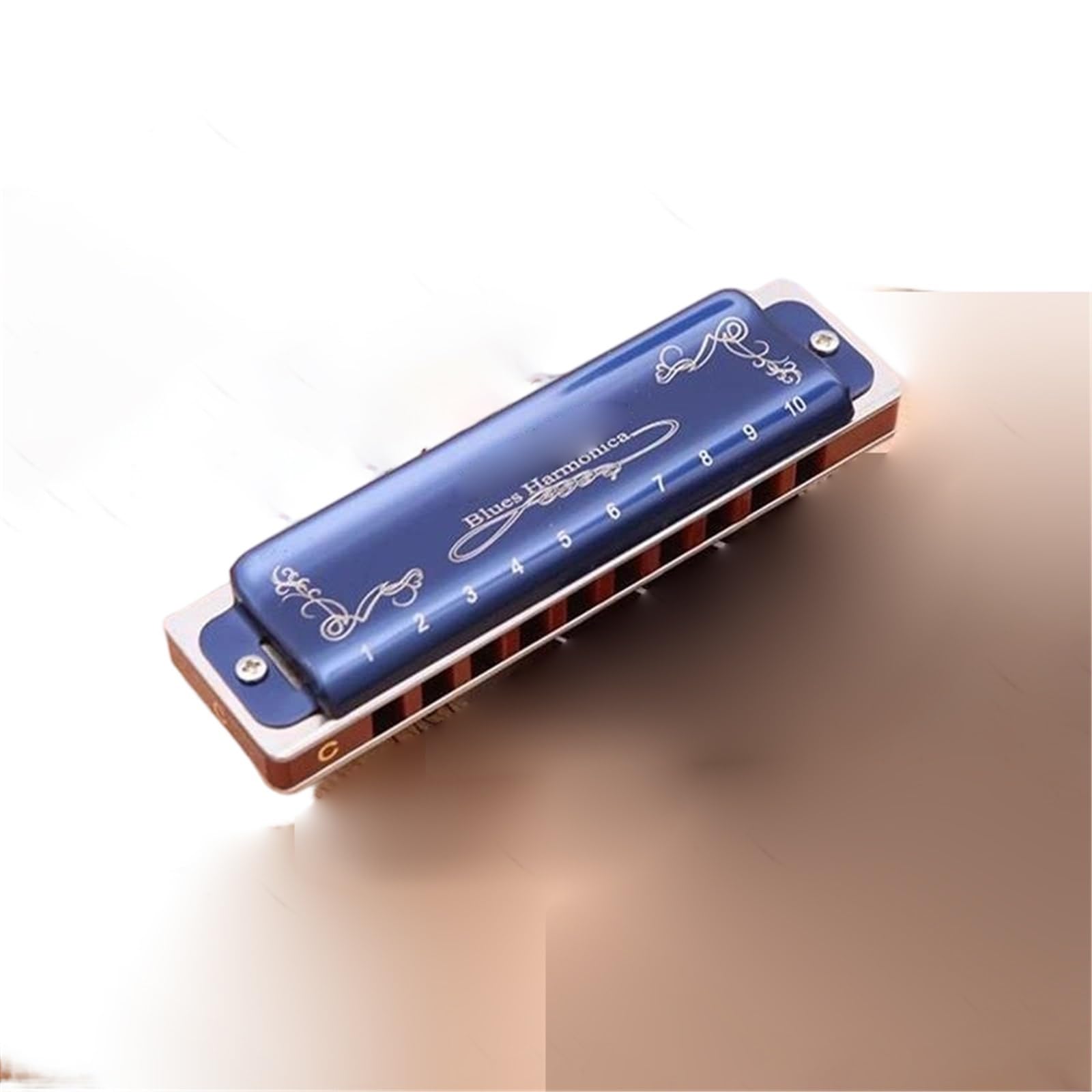 Armonica Blues Armonica A Bocca 10 Buche Blues C | Armonica a 10 buche Blues C Suonare per principianti adulti(Blue)