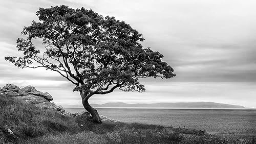 Posterazzi PDX14023GLARGE Obra de Arte, Grande, Multi