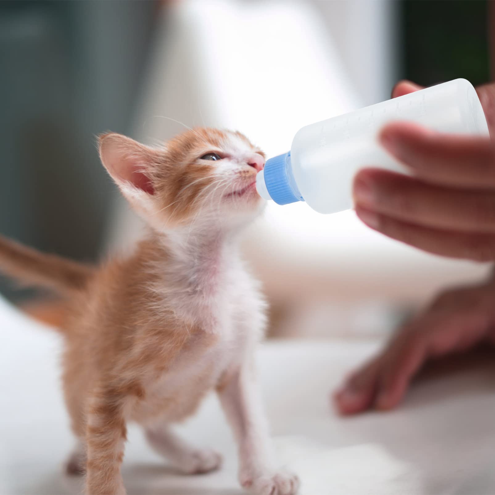 ifundom 3Pcs Cat Feeding Bottles for Kittens and Puppies Food Grade Safe Milk Bottles for Newborn Pets Lightweight Portable Design for Easy Nursing and Feeding