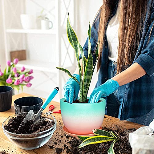 Fchen Art Ceramic Plant Pots Flower Pot With Drainage Hole Indoor Plants Hole For Indoor Plants Cactus Succulent Snake Plants Bamboo Clay Pottery Garden Pots For Outdoor Plants Blue Pink 6.7“X5.1 #TOP5