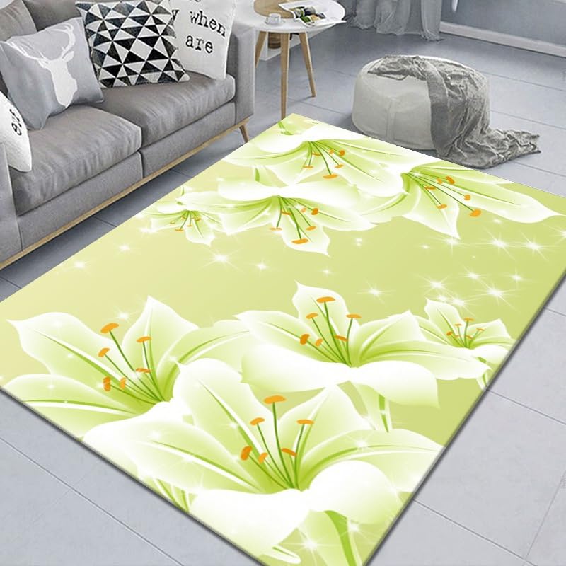 Tapis d'entrée intérieur pour chambre cuisine et couloir