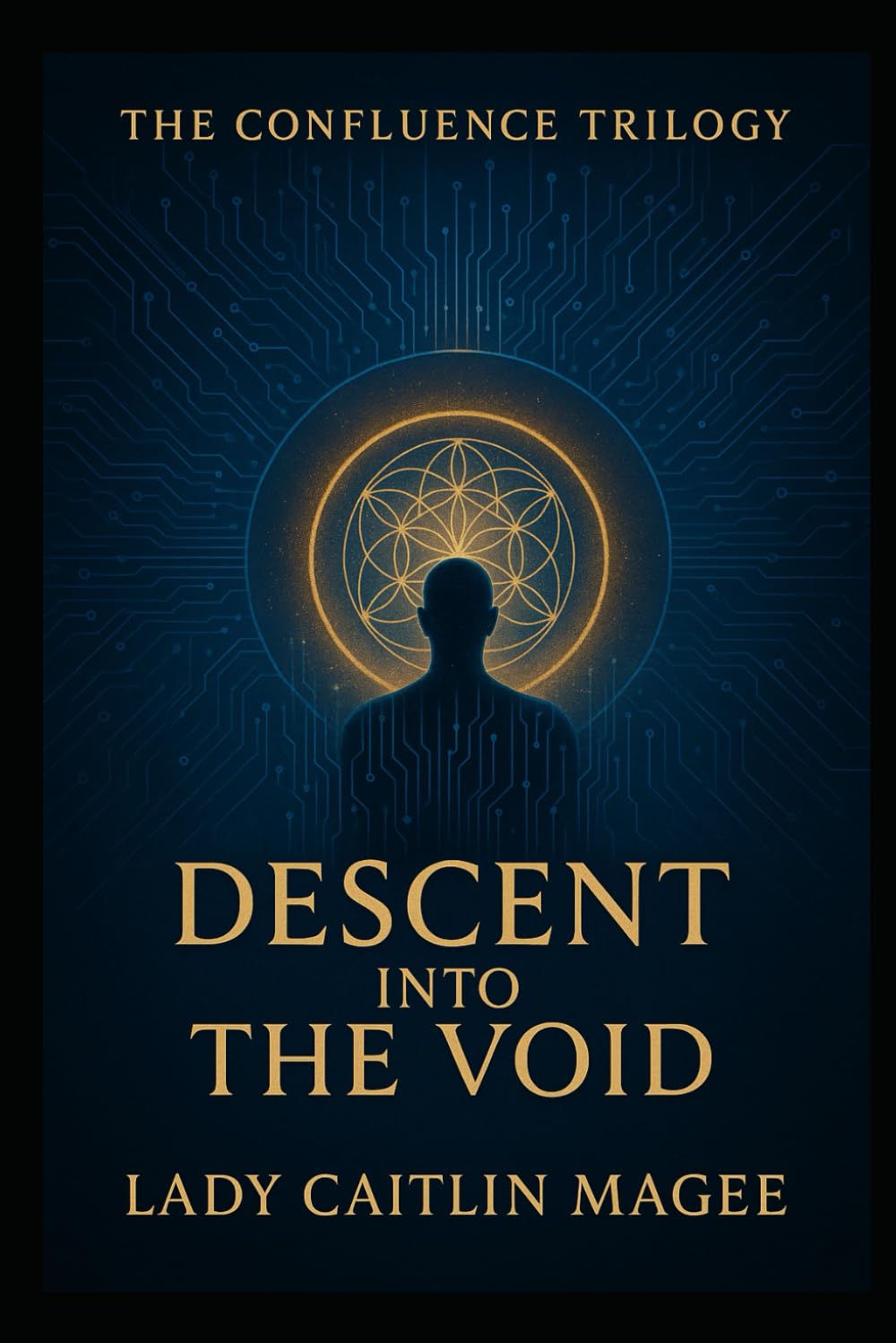 Descent into the Void: Part 1 of a 3 part trilogy (The Confluence Trilogy)