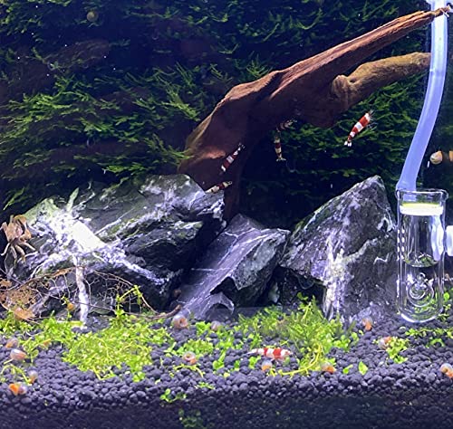 Landen Natural Tonwa Stones Slate Stones For Aquariums Terrariums, Paludarium,Vivariums, Reptile And Amphibian Enclosures (17Lbs, 2 To 8 Inches) #TOP2