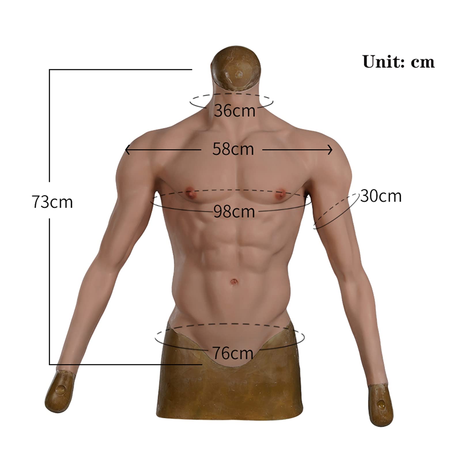 De Mens Met Spier Naakt Torso, Ab, Zes Pakt, Borst, Buik in Stock Foto