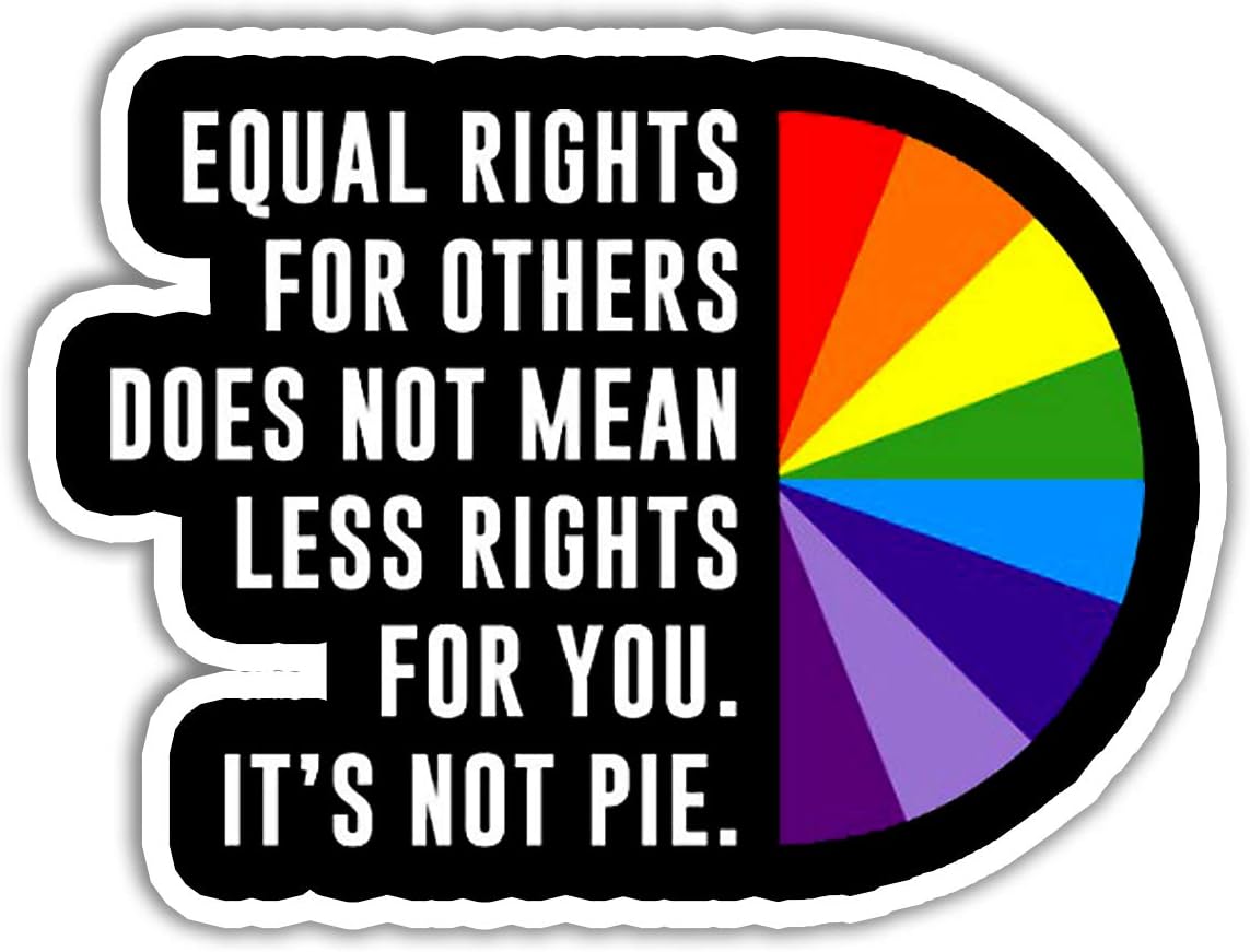 YOU ARE MY SUNSHINE3 Pcs/Pack - Equal Rights for Others Does Not Mean Less Rights for You It's Not Pie Decal Sticker 3"x4" (SK1056)