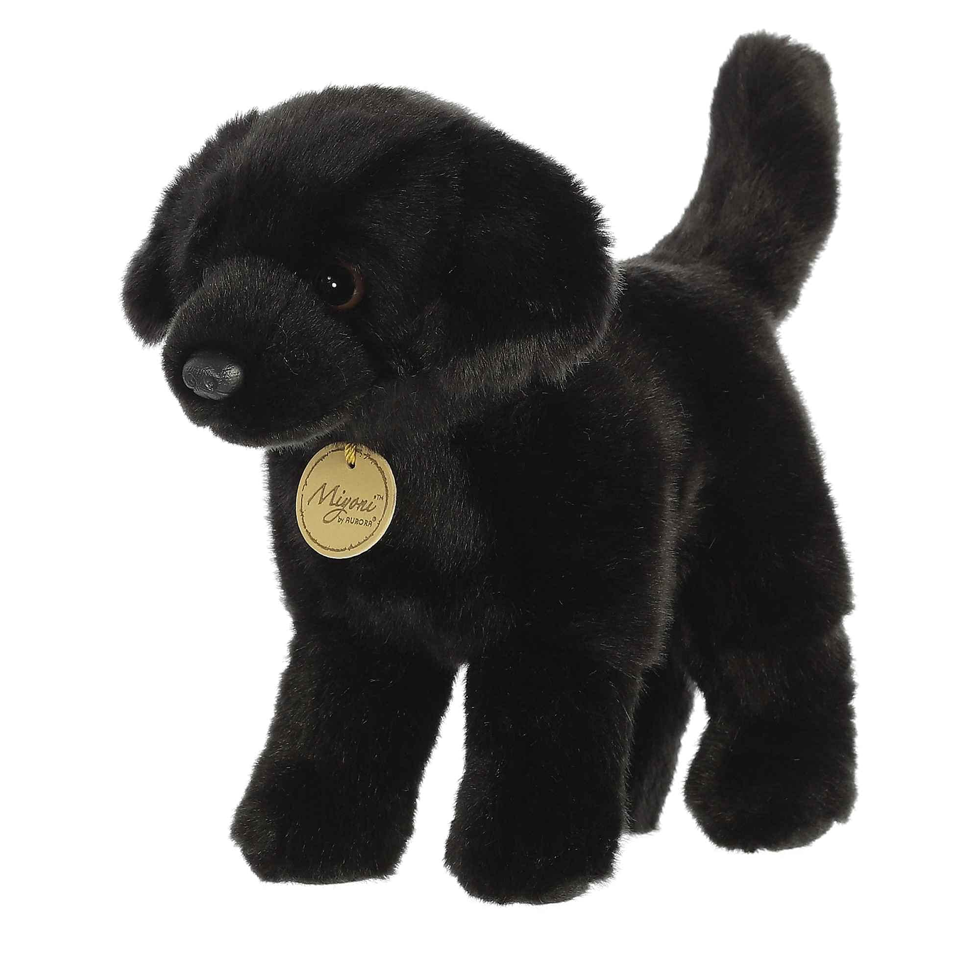 Aurora - Miyoni - 10" Black Labrador